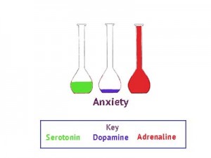 neurotransmitters, anxiety, stress, hormones